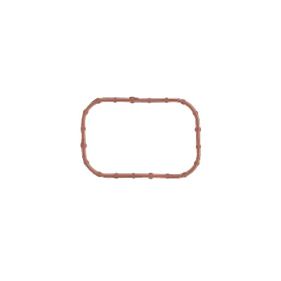 Zaptivka, usisna grana REINZ 71-11084-00 IC-F5FD25