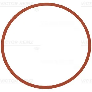 Zaptivka, usisna grana REINZ 71-11403-00 IC-F5FD29