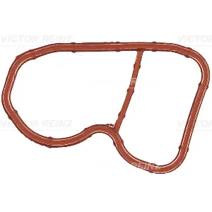 Zaptivka, usisna grana REINZ 71-11831-00 IC-F5FD32