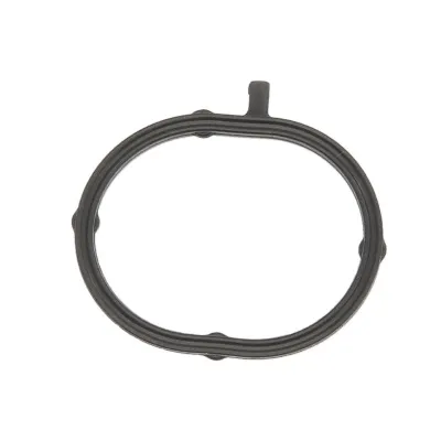 Zaptivka, usisna grana REINZ 71-12349-00 IC-F5FD41