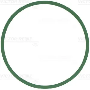 Zaptivka, usisna grana REINZ 71-12439-00 IC-F5FD46