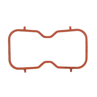 Zaptivka, usisna grana REINZ 71-13274-00 IC-F60AFE