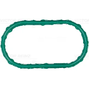 Zaptivka, usisna grana REINZ 71-16679-00 IC-F81B5A