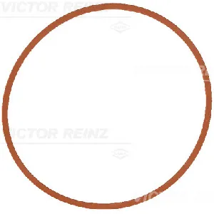 Zaptivka, usisna grana REINZ 71-17146-00 IC-F81B5E