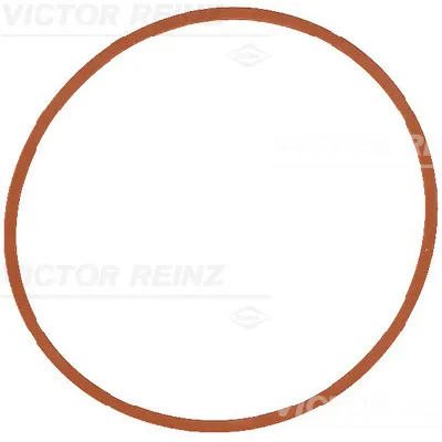 Zaptivka, usisna grana REINZ 71-17146-00 IC-F81B5E
