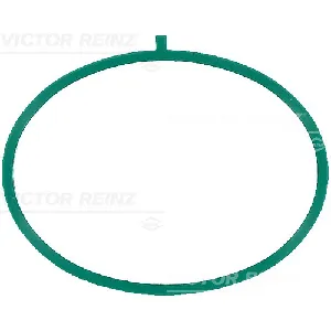 Zaptivka, usisna grana REINZ 71-17375-00 IC-G0LNYB