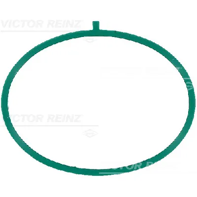 Zaptivka, usisna grana REINZ 71-17375-00 IC-G0LNYB