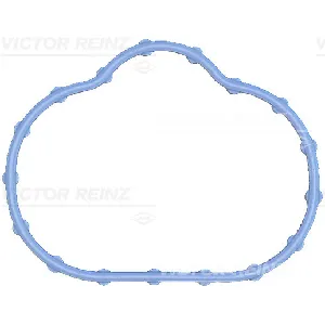 Zaptivka, usisna grana REINZ 71-17497-00 IC-G0LNYG