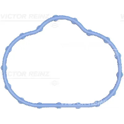 Zaptivka, usisna grana REINZ 71-17497-00 IC-G0LNYG