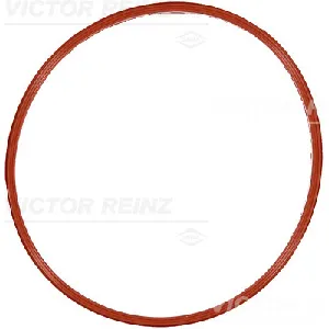 Zaptivka, usisna grana REINZ 71-18338-00 IC-G0PNFO