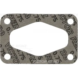 Zaptivka, usisna grana REINZ 71-20251-20 IC-B3065A