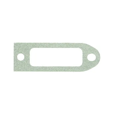 Zaptivka, usisna grana REINZ 71-23988-10 IC-B312E0