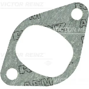 Zaptivka, usisna grana REINZ 71-24887-10 IC-B306F0