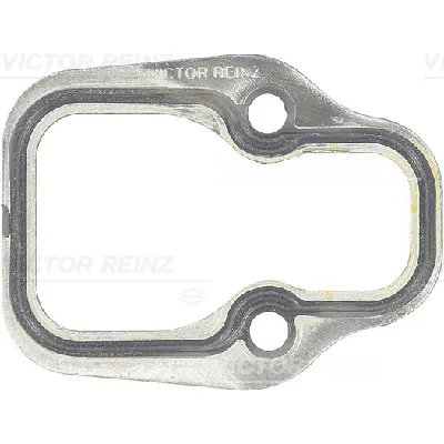 Zaptivka, usisna grana REINZ 71-26069-20 IC-B3123B