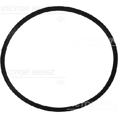 Zaptivka, usisna grana REINZ 71-34473-00 IC-B309B6