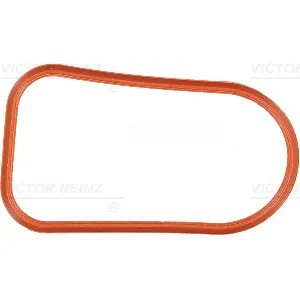 Zaptivka, usisna grana REINZ 71-34474-00 IC-B309B7