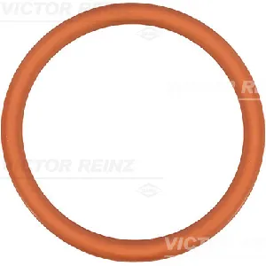 Zaptivka, usisna grana REINZ 71-35247-00 IC-B309EF