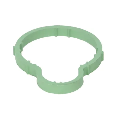 Zaptivka, usisna grana REINZ 71-36064-00 IC-B30ACF