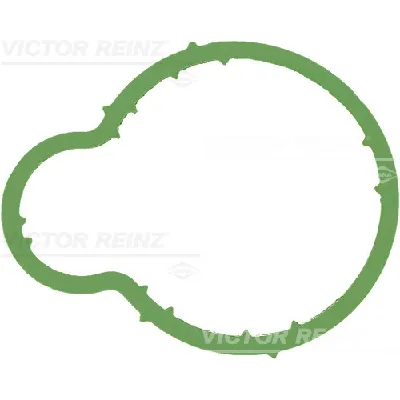 Zaptivka, usisna grana REINZ 71-36064-00 IC-B30ACF