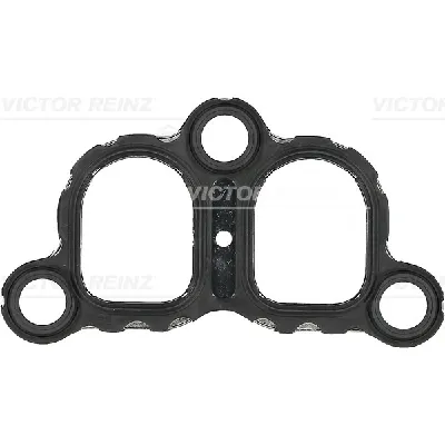 Zaptivka, usisna grana REINZ 71-36074-00 IC-B30AD7