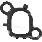 Zaptivka, usisna grana REINZ 71-36079-00 IC-B30AD9