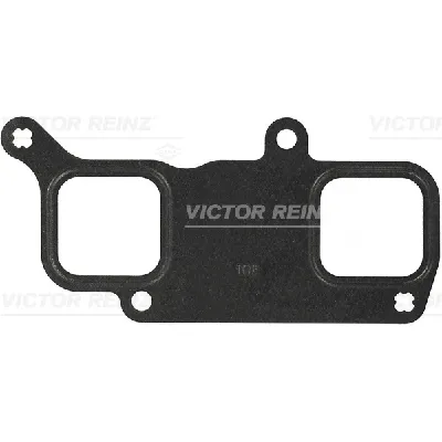 Zaptivka, usisna grana REINZ 71-36138-00 IC-B31325
