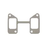 Zaptivka, usisna grana REINZ 71-36738-00 IC-C36E5E