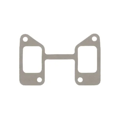 Zaptivka, usisna grana REINZ 71-36738-00 IC-C36E5E