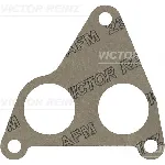 Zaptivka, usisna grana REINZ 71-36769-00 IC-B30B2F