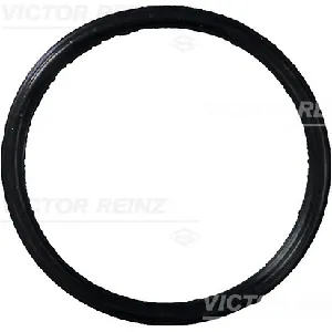 Zaptivka, usisna grana REINZ 71-37131-00 IC-B30B3F