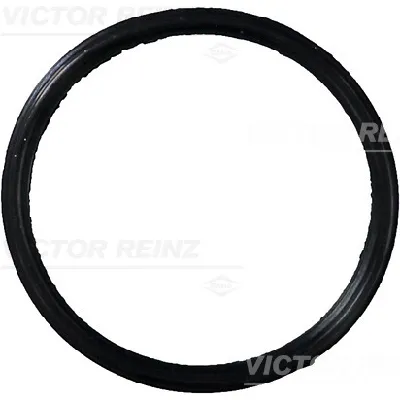 Zaptivka, usisna grana REINZ 71-37131-00 IC-B30B3F