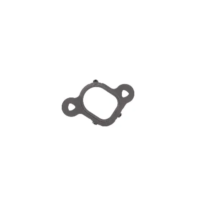 Zaptivka, usisna grana REINZ 71-37538-00 IC-B30B58