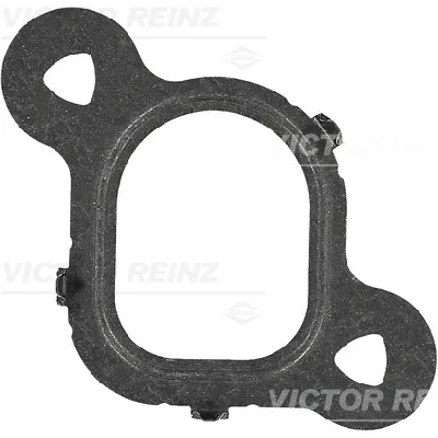 Zaptivka, usisna grana REINZ 71-37538-00 IC-B30B58