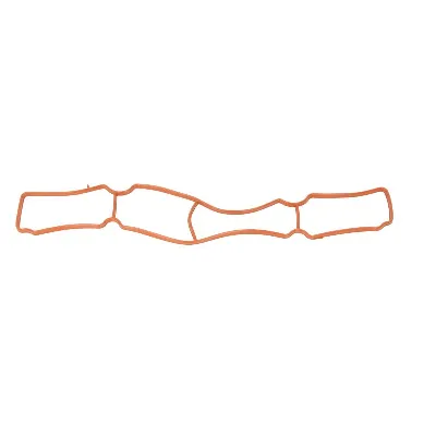 Zaptivka, usisna grana REINZ 71-37793-00 IC-D7FBC8