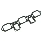 Zaptivka, usisna grana REINZ 71-37836-00 IC-C35C7C