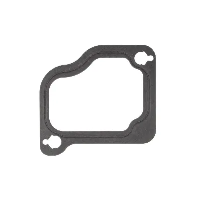 Zaptivka, usisna grana REINZ 71-37842-00 IC-C36E67