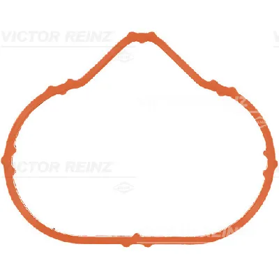 Zaptivka, usisna grana REINZ 71-38549-00 IC-B30B96