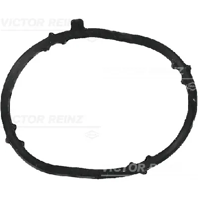 Zaptivka, usisna grana REINZ 71-39022-00 IC-BC1DAB