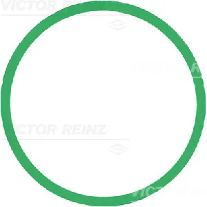 Zaptivka, usisna grana REINZ 71-39303-00 IC-D7FBE9