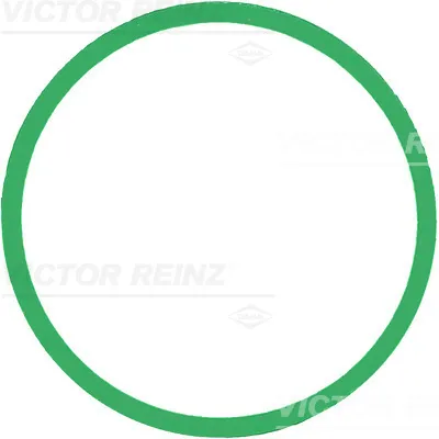 Zaptivka, usisna grana REINZ 71-39303-00 IC-D7FBE9