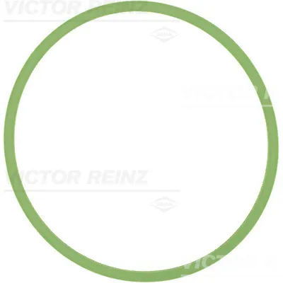 Zaptivka, usisna grana REINZ 71-40513-00 IC-D6FC39