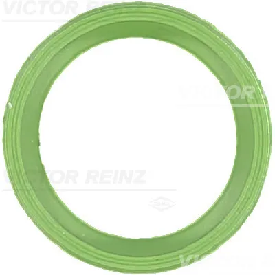 Zaptivka, usisna grana REINZ 71-40534-00 IC-D0B511