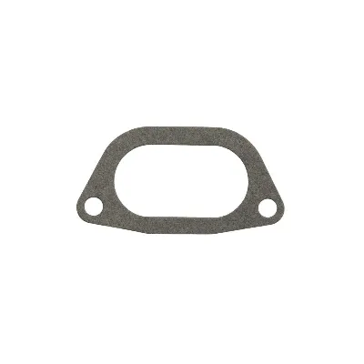Zaptivka, usisna grana REINZ 71-41593-00 IC-C6C730