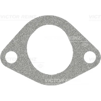 Zaptivka, usisna grana REINZ 71-41594-00 IC-C6C731