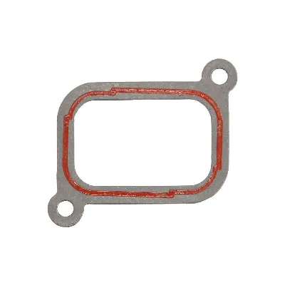 Zaptivka, usisna grana REINZ 71-41773-00 IC-C6C77B