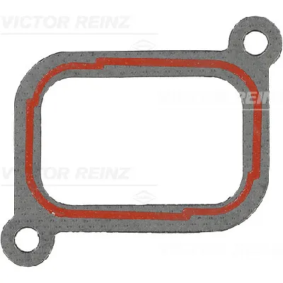 Zaptivka, usisna grana REINZ 71-41773-00 IC-C6C77B