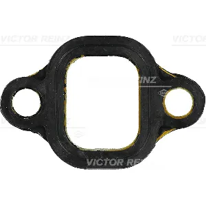 Zaptivka, usisna grana REINZ 71-53006-00 IC-B30D62