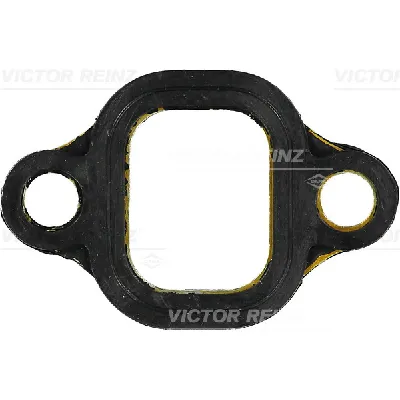 Zaptivka, usisna grana REINZ 71-53006-00 IC-B30D62