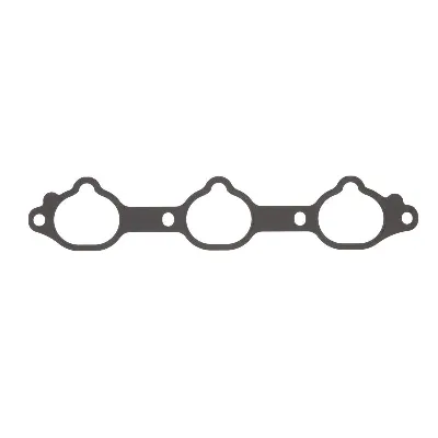 Zaptivka, usisna grana REINZ 71-53397-00 IC-B30DCB