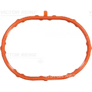 Zaptivka, usisna grana REINZ 71-53796-00 IC-B30E71